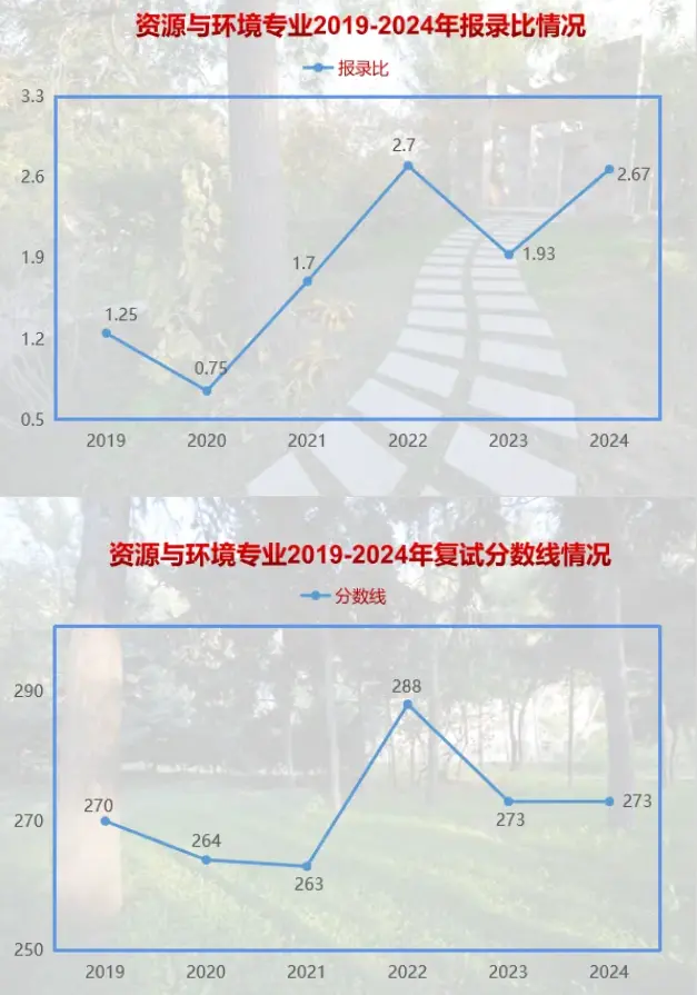 2019-2024年东北林业大学考研报录比（学硕+专硕）