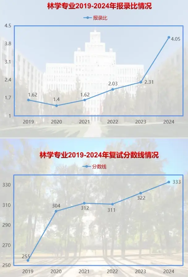 2019-2024年东北林业大学考研报录比（学硕+专硕）